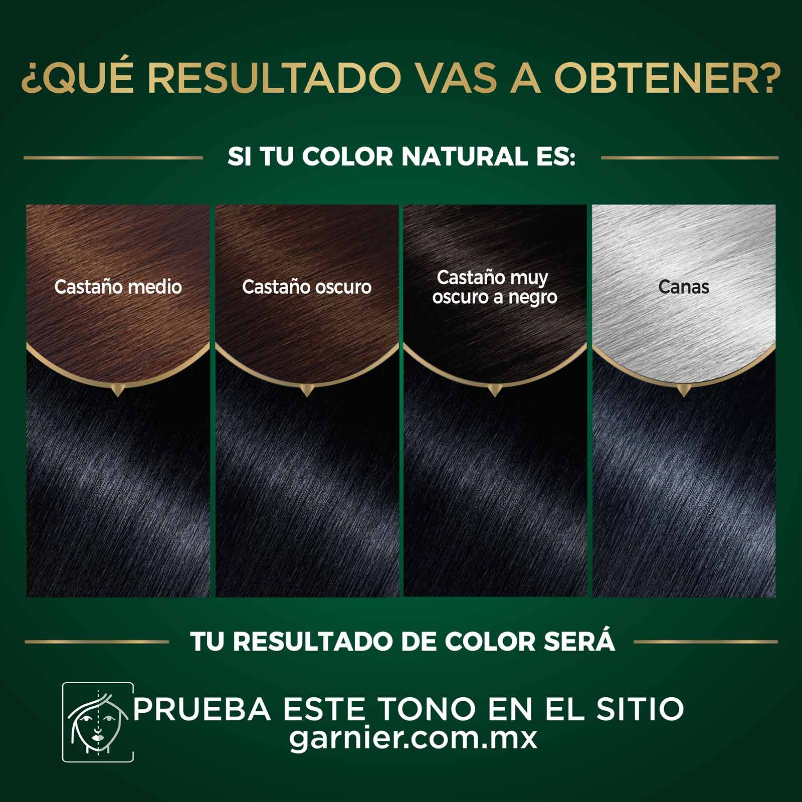COLORACIÓN SIN AMONIACO NUTRISSE OLEOS TONO 2.11 NEGRO PLATINADO RESULTADOS A OBTENER